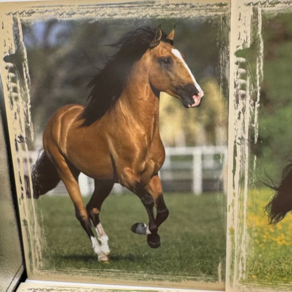 Vintage 2004 Mead Horse Portfolio Folders Set of 4 Bob Langrish Photography